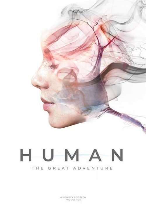 Human